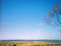 photos 2000-200901450
